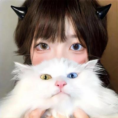 王的命令 第二季